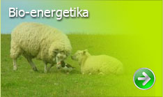 Bio energetika